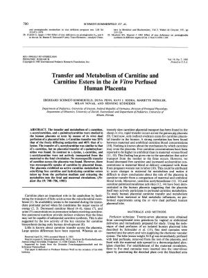 Transfer and Metabolism of Carnitine and Carnitine Esters in the in Vitro Perfused Human Placenta