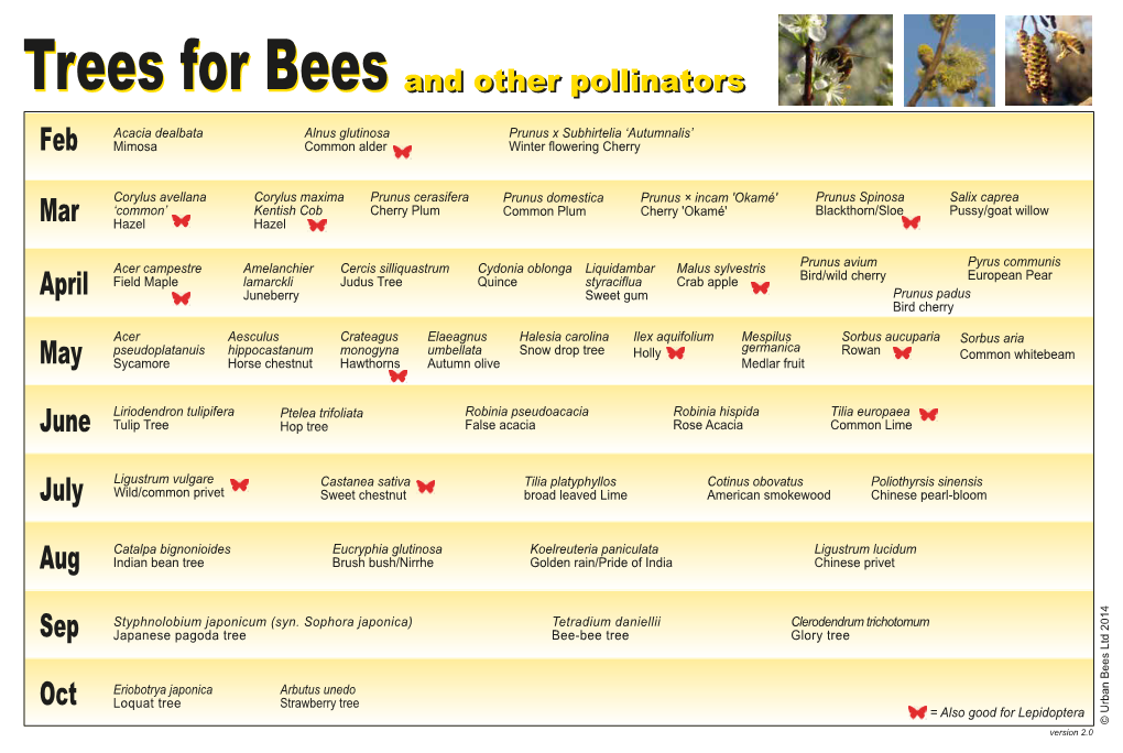 Trees for Bees