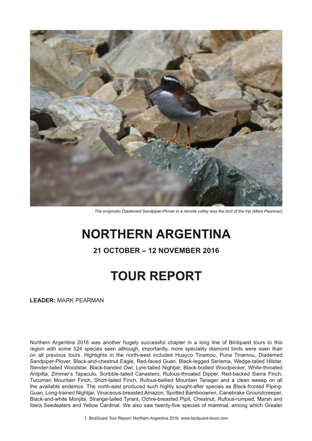 Northern Argentina Tour Report 2016