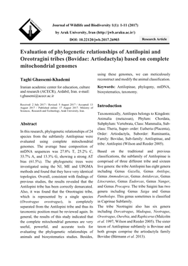 Evaluation of Phylogenetic Relationships of Antilopini And