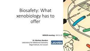 Biosafety: What Xenobiology Has to Offer