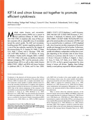Efficient Cytokinesis