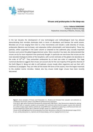 Viruses and Prokaryotes in the Deep-Sea