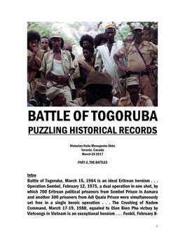 Battle of Togoruba Puzzling Historical Records