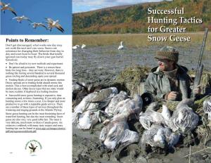 Successful Hunting Tactics for Greater Snow Geese