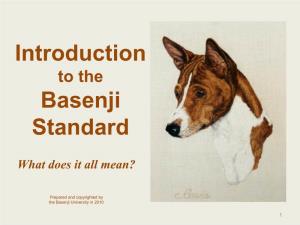 Introduction to the Basenji Standard
