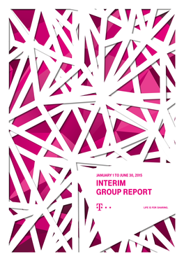 Interim Group Report 2
