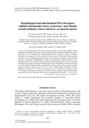 Morphological and Mitochondrial DNA Divergence Validates Blackmouth, Galeus Melastomus, and Atlantic Sawtail Catsharks, Galeus Atlanticus,Asseparatespecies