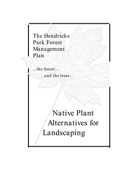 Native Plant Alternatives for Landscaping
