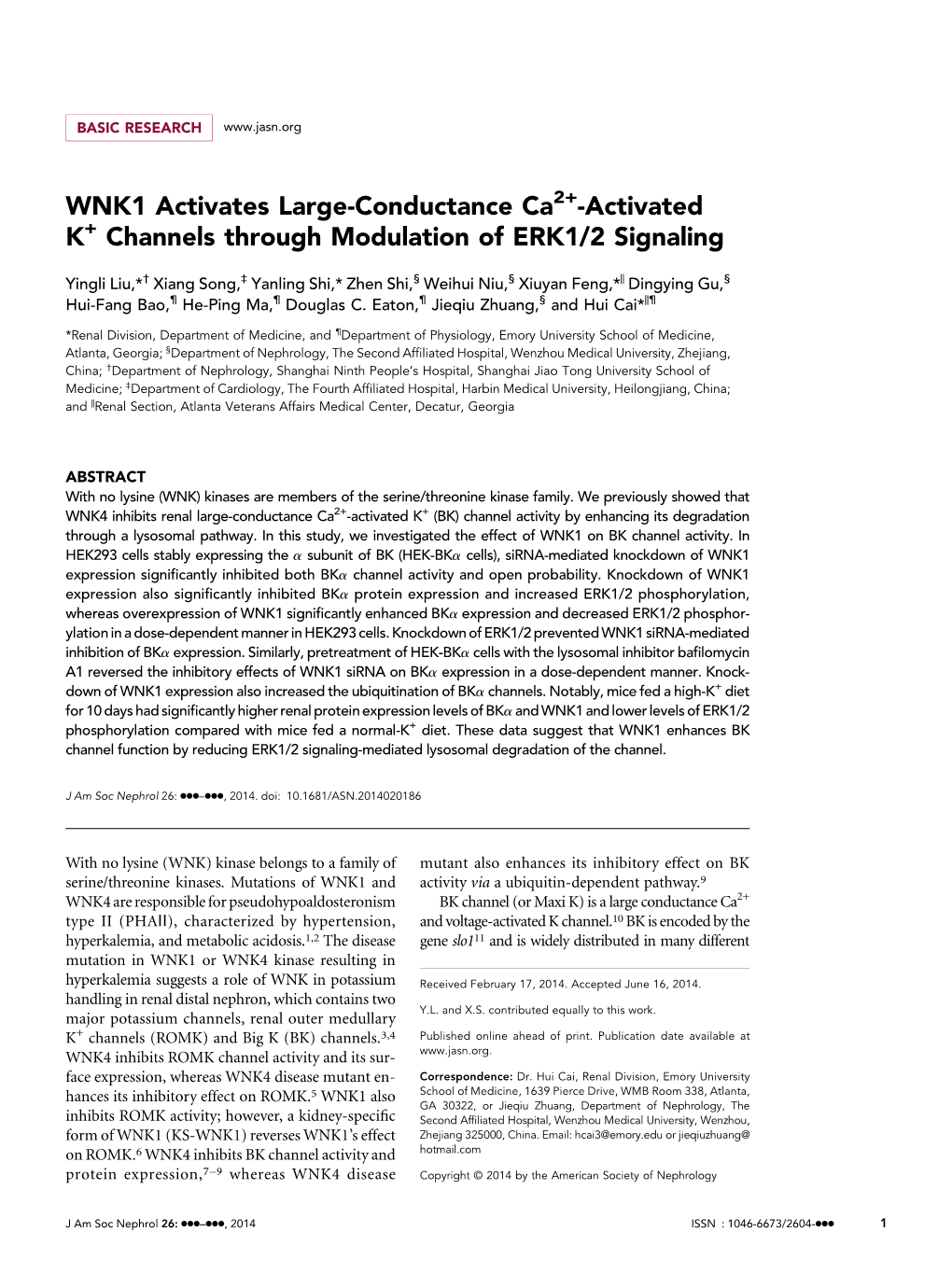 WNK1 Activates Large-Conductance Ca -Activated K Channels
