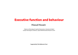 Amsterdam Executive Functions
