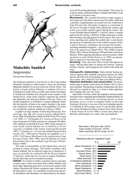 Malachite Sunbird West