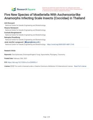 Five New Species of Moelleriella with Aschersonia-Like Anamorphs Infecting Scale Insects (Coccidae) in Thailand