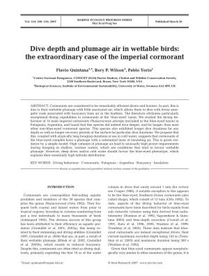 Dive Depth and Plumage Air in Wettable Birds: the Extraordinary Case of the Imperial Cormorant