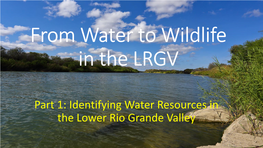 Water to Wildlife in the LRGV