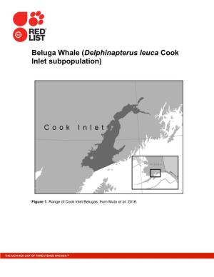 Beluga Whale (Delphinapterus Leuca Cook Inlet Subpopulation)
