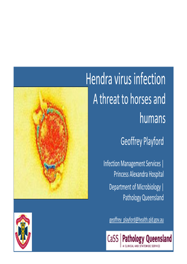 Hendra Virus Infection a Threat to Horses and Humans Geoffrey Playford