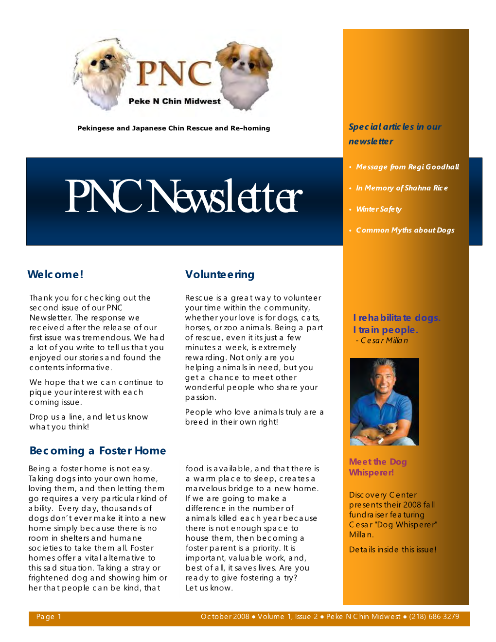 PNC Newsletter • Winter Safety • Common Myths About Dogs