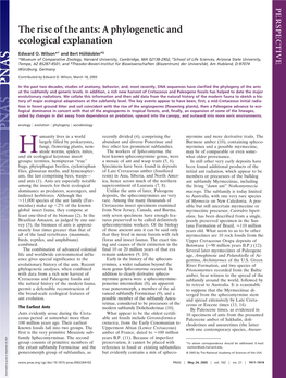 The Rise of the Ants: a Phylogenetic and Ecological Explanation