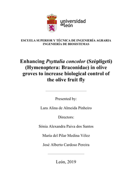 Enhancing Psyttalia Concolor (Szépligeti) (Hymenoptera: Braconidae) in Olive Groves to Increase Biological Control of the Olive Fruit Fly