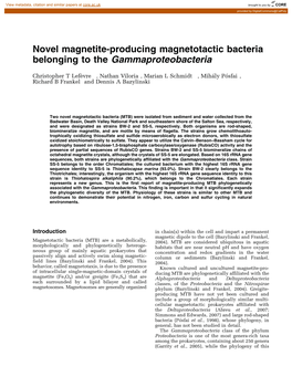 Novel Magnetite-Producing Magnetotactic Bacteria Belonging to the Gammaproteobacteria