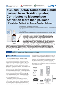 Αglucan (AHCC Compound Liquid Derived from Basidiomycetes) Contributes to Macrophage Activation More Than Βglucan ~ Promising Outlook for Tumor-Bearing Animals ~