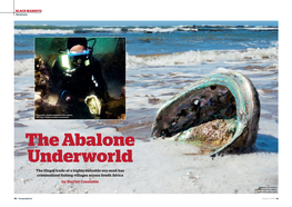 The Abalone Underworld the Illegal Trade of a Highly Valuable Sea Snail Has Criminalised Fishing Villages Across South Africa by Harriet Constable