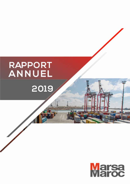 Rapport Annuel 2019 1