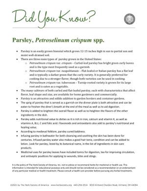 Parsley, Petroselinum Crispum Spp