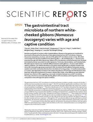 The Gastrointestinal Tract Microbiota of Northern White-Cheeked Gibbons