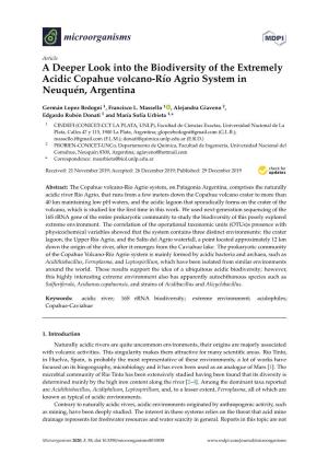 A Deeper Look Into the Biodiversity of the Extremely Acidic Copahue Volcano-Río Agrio System in Neuquén, Argentina