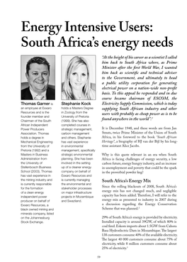Energy Intensive Users: South Africa's Energy Needs