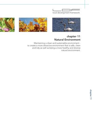 Chapter 11 Natural Environment
