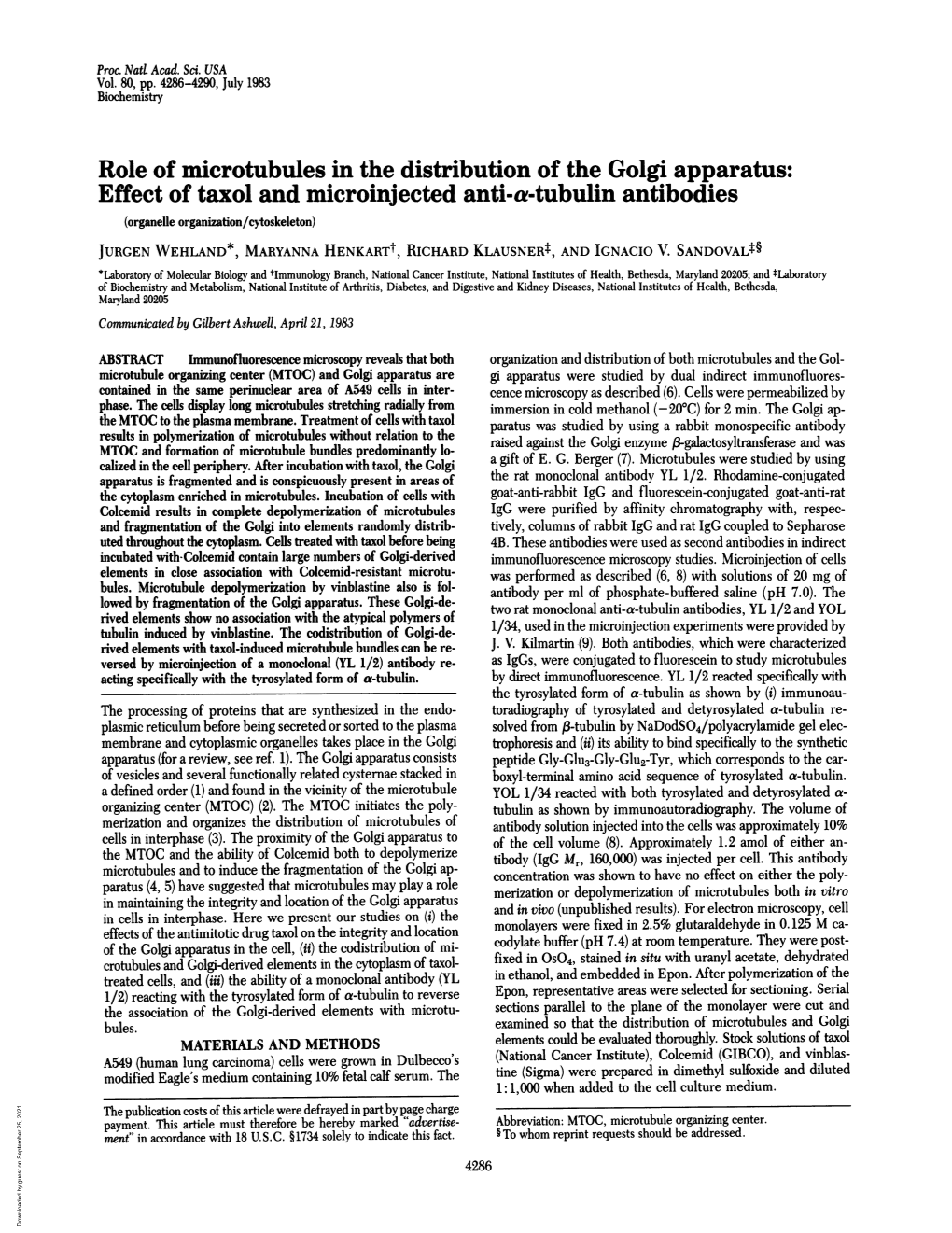 Role of Microtubules in the Distribution of the Golgi Apparatus