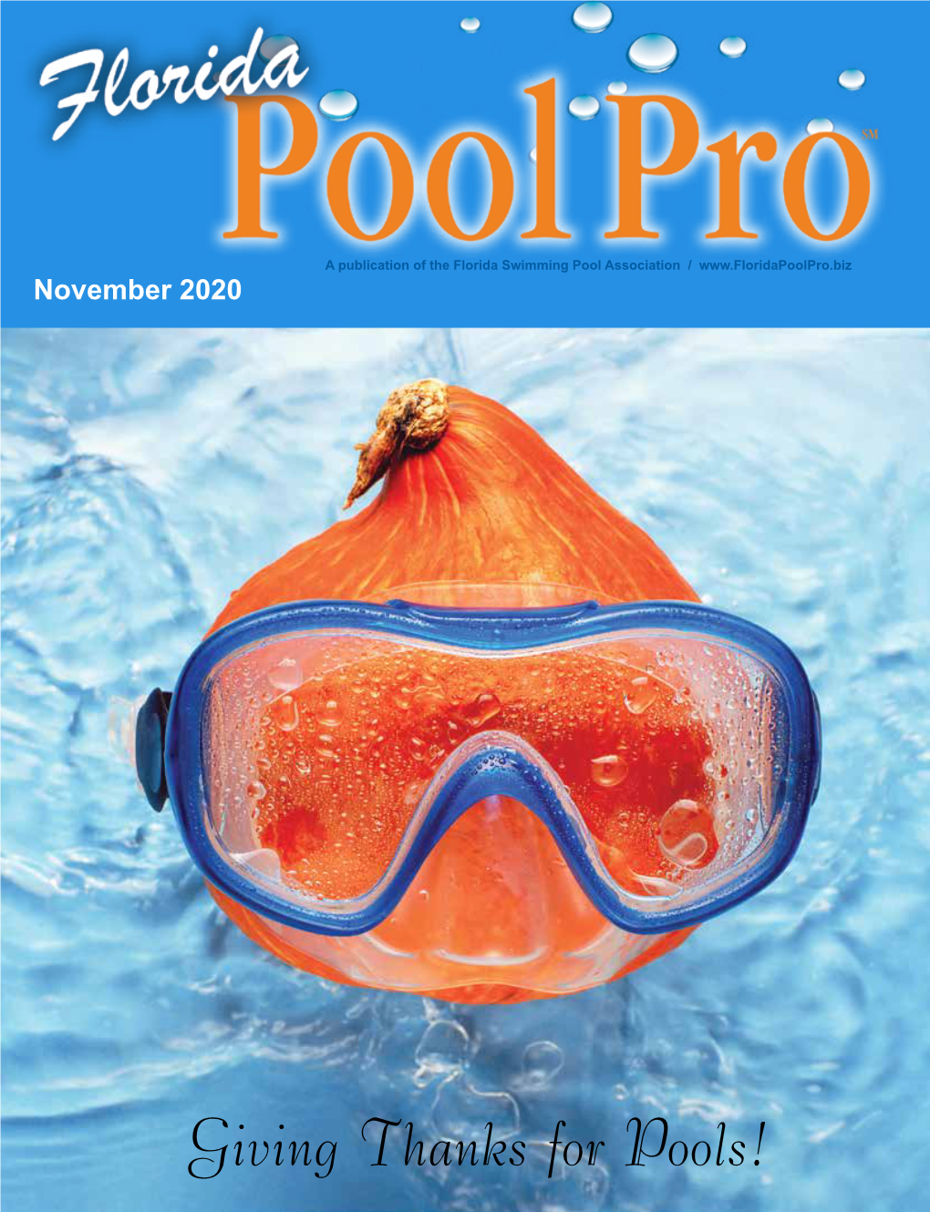 Giving Thanks for Pools!