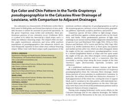 Eye Color and Chin Pattern in the Turtle Graptemys Pseudogeographica in the Calcasieu River Drainage of Louisiana, with Comparison to Adjacent Drainages