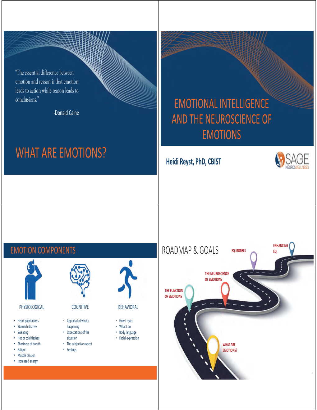 Emotional Intelligence & the Neuroscience of Emotions V2