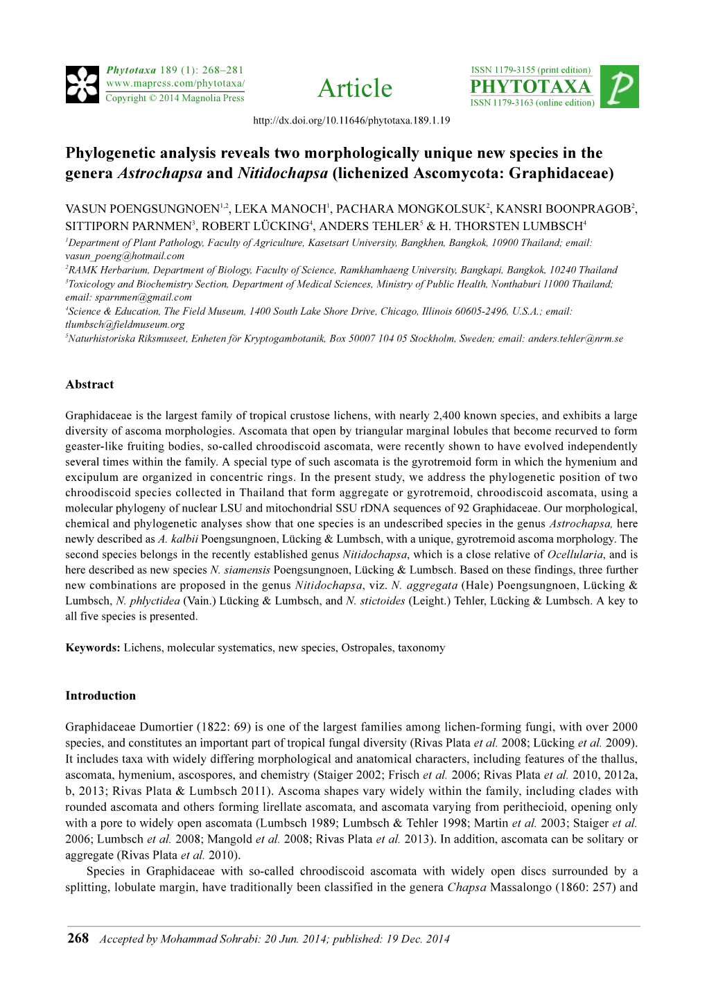 Phylogenetic Analysis Reveals Two Morphologically Unique New Species in the Genera Astrochapsa and Nitidochapsa (Lichenized Ascomycota: Graphidaceae)