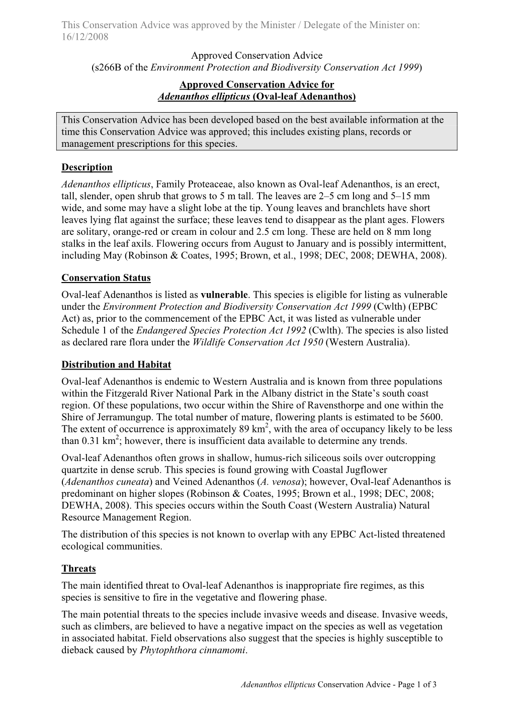 Approved Conservation Advice for Adenanthos Ellipticus (Oval-Leaf Adenanthos)