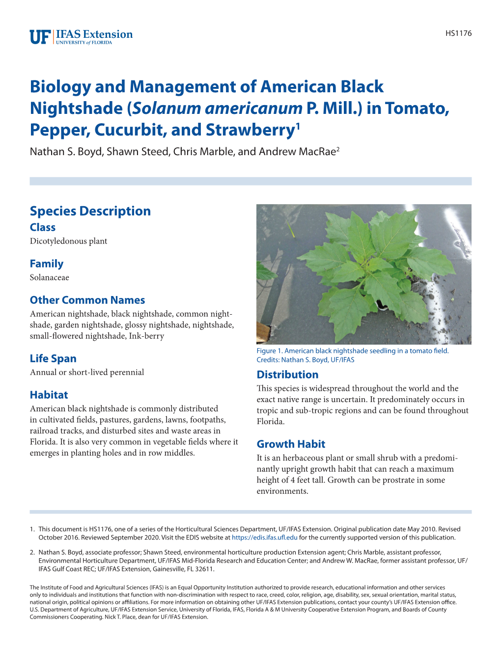 Biology and Management of American Black Nightshade (Solanum Americanum P