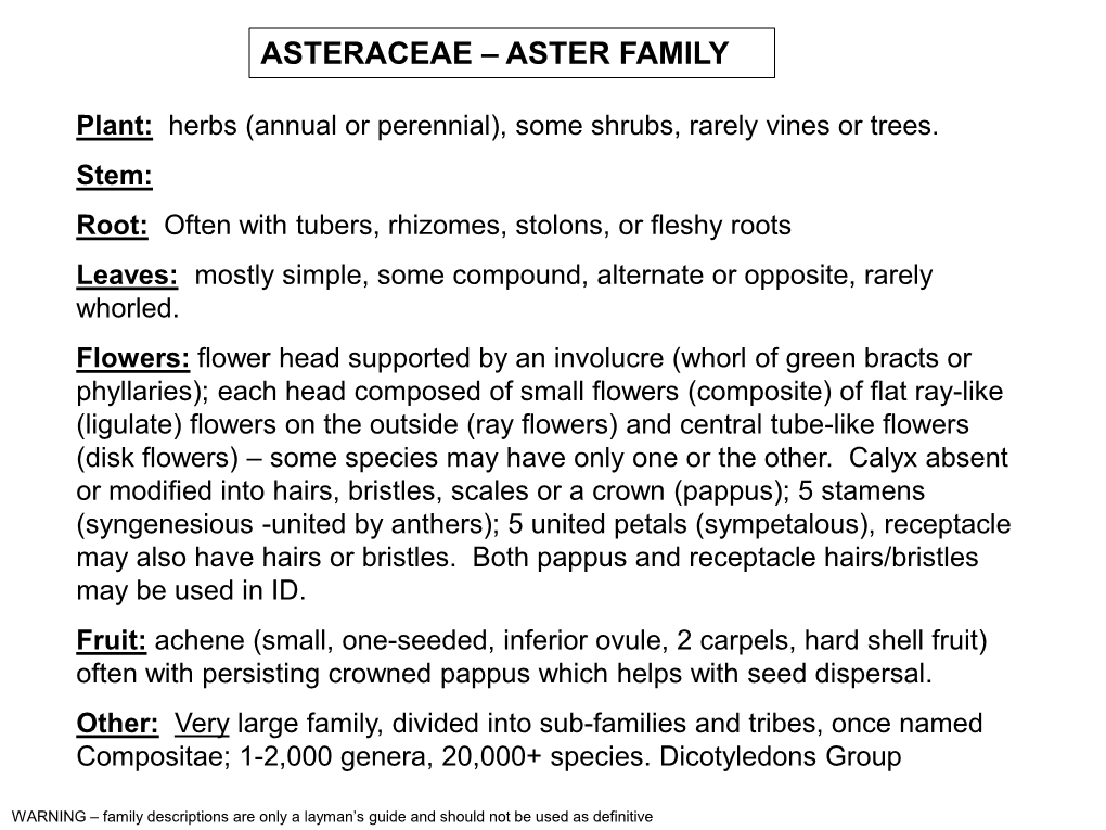 Asteraceae – Aster Family