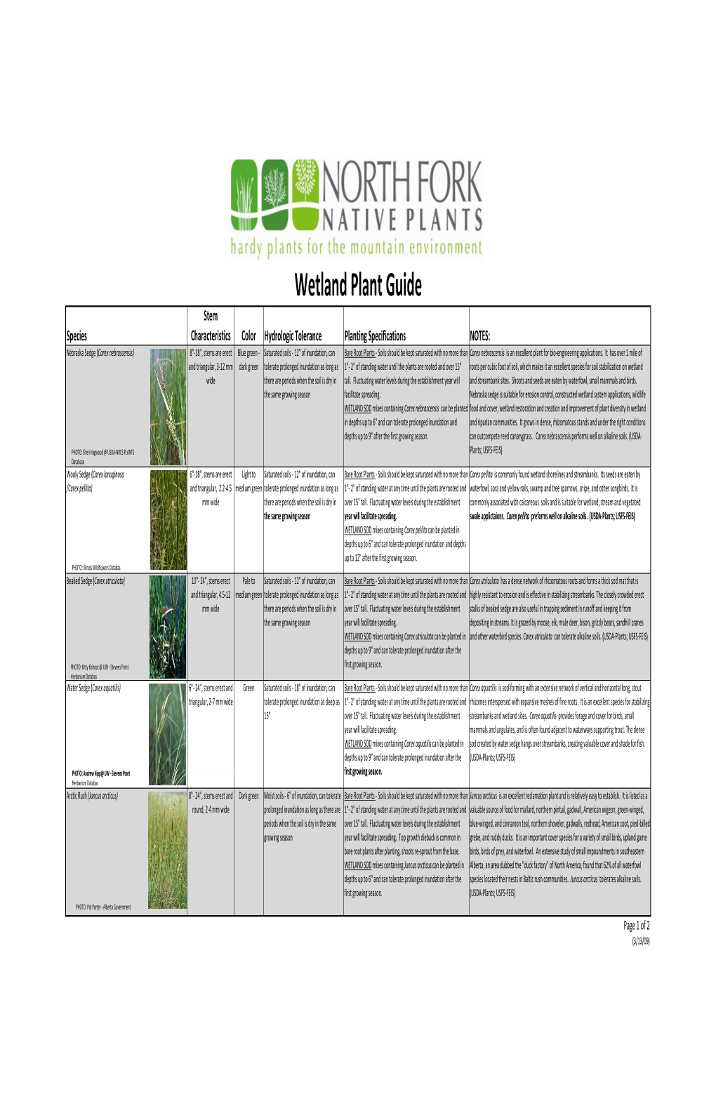 Wetland Plant Guide