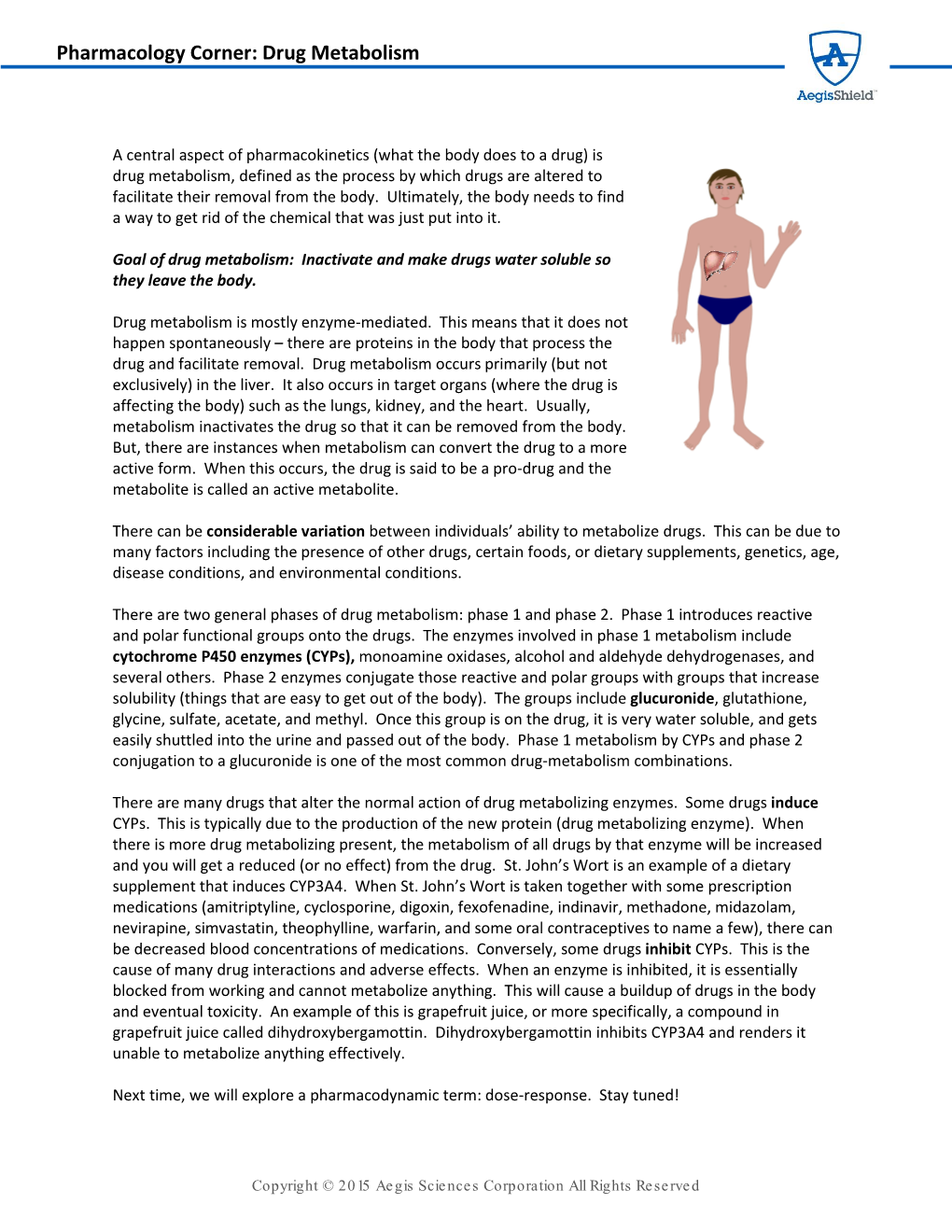 Drug Metabolism