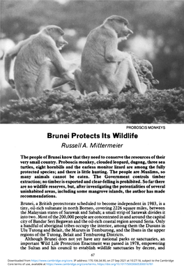 Brunei Protects Its Wildlife Russell A