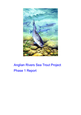 Anglian Rivers Sea Trout Project Phase 1 Report