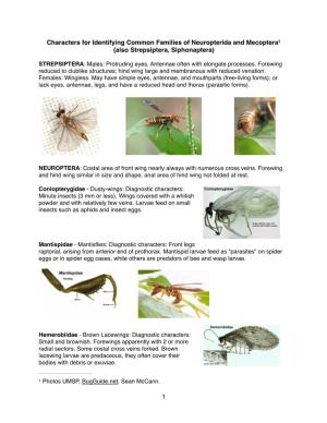 Characters for Identifying Common Families of Neuropterida and Mecoptera1 (Also Strepsiptera, Siphonaptera)