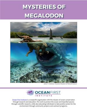 Mysteries of Megalodon Webinar Resources