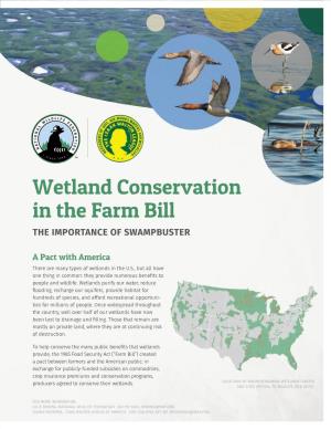 Wetland Conservation in the Farm Bill the IMPORTANCE of SWAMPBUSTER