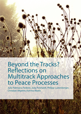 Beyond the Tracks? Reflections on Multitrack Approaches to Peace Processes