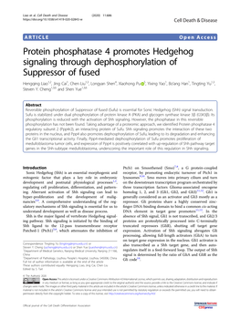 Protein Phosphatase 4 Promotes Hedgehog Signaling